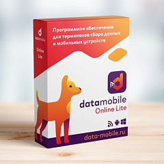 ПО DataMobile, версия Online Lite в Грозном