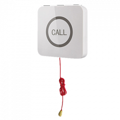 Кнопка вызова iBells 310S влагозащищенная со шнуром для МГН в Грозном